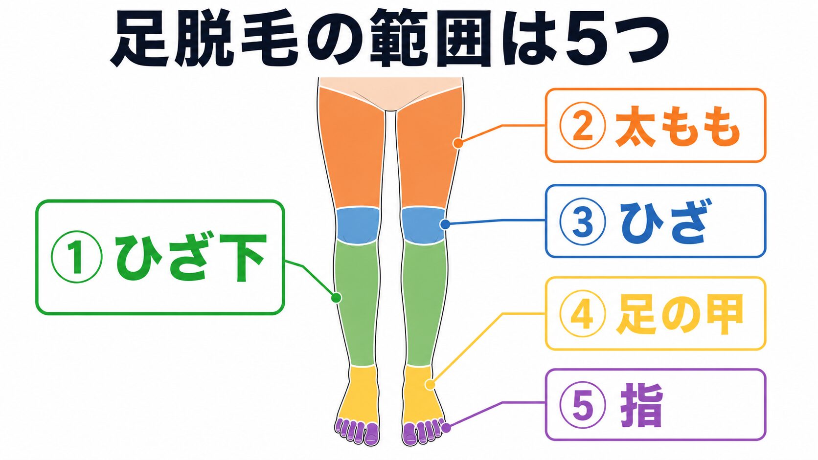 足脱毛の5つの範囲。ひざ下、太もも、ひざ、足の甲、指を色分けした図解